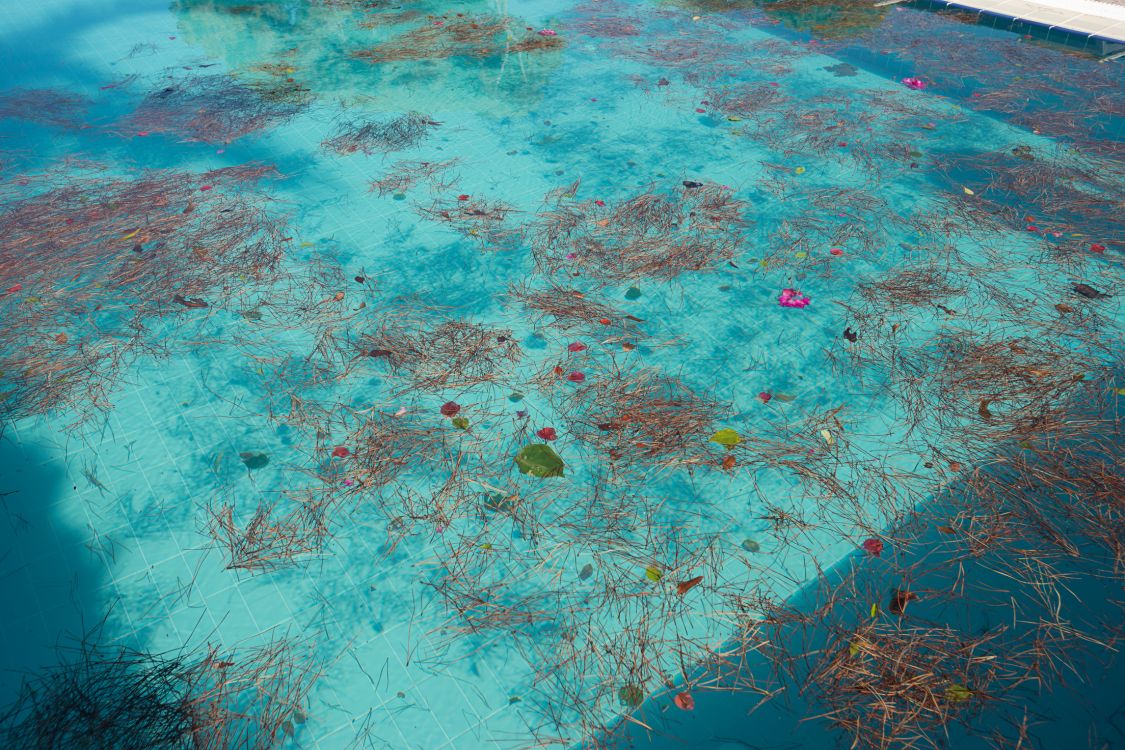 Contact Westminster Pool Experts